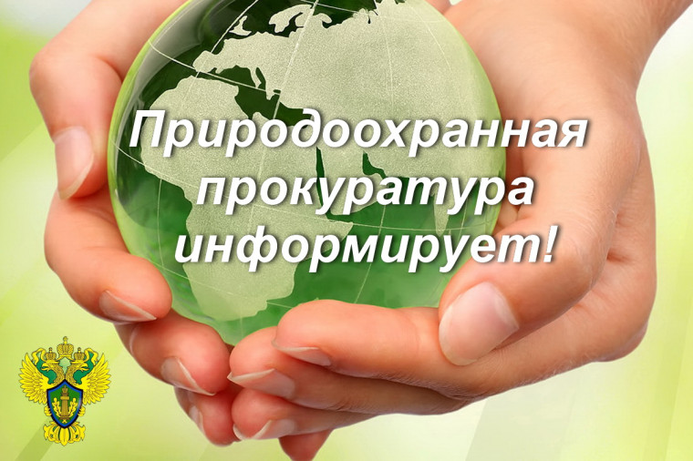 Печорская природоохранная межрайонная прокуратура информирует. Печорская природоохранная межрайонная прокуратура информирует.